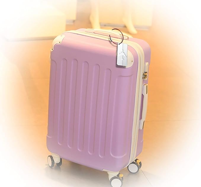 bayite Pack (100) Stainless Steel Wire Keychains Cable, Key Chain Rings, Heavy Duty Luggage Tags Loops Tag Keepers 2mm Twist Barrel (Cable Length: 4 inches)