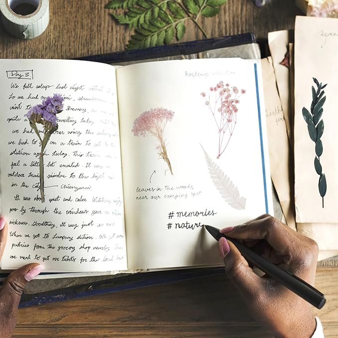 Real Dried Flowers, Natural Dry Flowers Mixed Natural Pressed Flowers Flores Secas Dried Florals for Crafts,Resin,Candle Making (Multicolor 2)