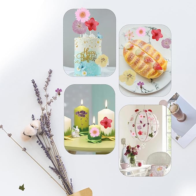 104Pcs Natural Pressed Dried Flowers Resin, Dry Flowers for Resin Accessories, Dried Flower for Scrapbooking DIY Art Crafts, Epoxy Resin Jewelry Molds, Candle, Soap Making, Craft Making