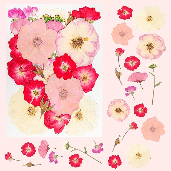 50Pcs Dried Pressed Flowers Real Pressed Flowers Natural Dry Leaves Bulk Mixed Colorful Herbs Kit with Tweezers for Scrapbooking DIY Candle Jewelry Crafts Making Nails (Pink)
