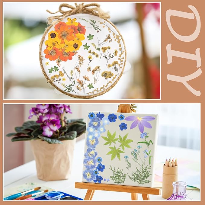 Nuanchu 200 Pcs Pressed Flowers Bulk Dried Flower for Craft Resin Mold Bookmark Scrapbooking Nail Cake White Orange Natural Pressed Dried Floral with Tweezer DIY Gift(Mixed Color,Artistic Style)