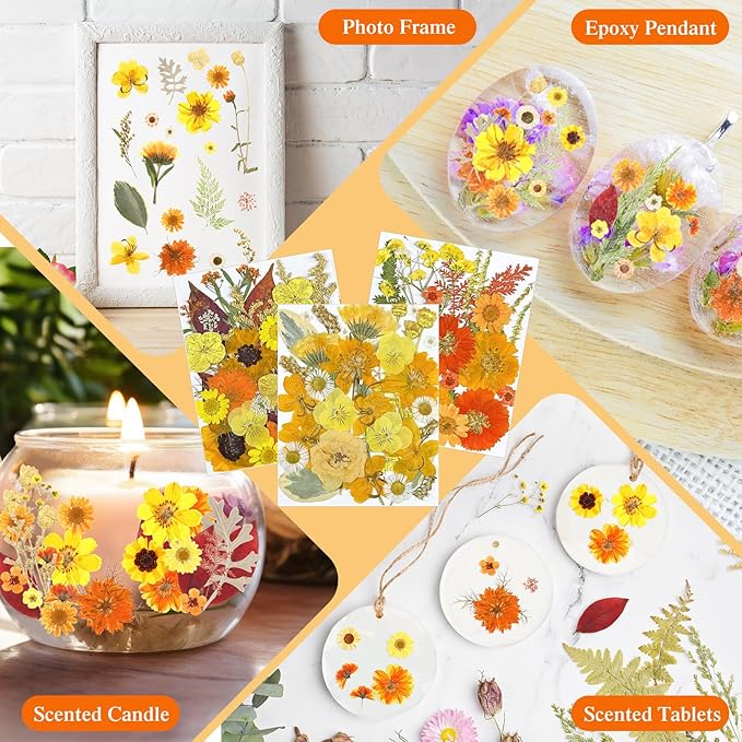 Nuanchu 167 Pcs Real Dried Pressed Flowers Natural Dried Flowers Colorful Daisy Mixed Wildflowers Leave for DIY Candle Resin Nails Jewelry Pendant Crafts Floral Art(Yellow,Bright Style)