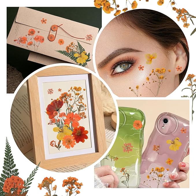 Dried Pressed Flowers Real Pressed Flowers Natural Dry Leaves Bulk Mixed Colorful Herbs Kit with Tweezers for Scrapbooking DIY Candle Jewelry Crafts Making Nails (Orange)