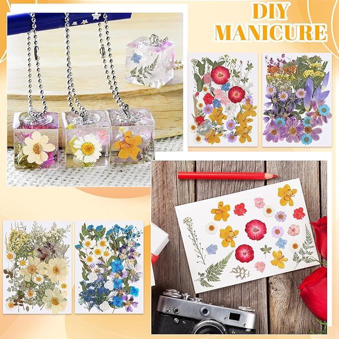 Nuanchu 200 Pcs Pressed Flowers Bulk Dried Flower for Craft Resin Mold Bookmark Scrapbooking Nail Cake White Orange Natural Pressed Dried Floral with Tweezer DIY Gift(Vivid Color,Colorful Style)