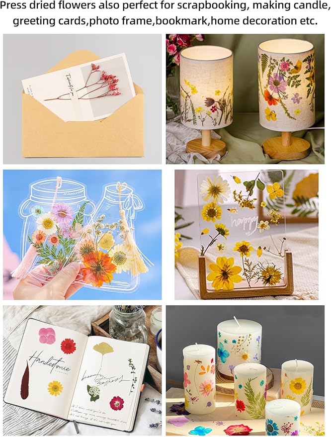 172Pcs Dried Flowers for Resin, Small Pressed Dried Flowers for Crafts Jewelry Making, Natural Real Dry Flowers for Resin Molds, Scrapbooking DIY, Soap Candle Making with Tweezers Butterfly Stickers