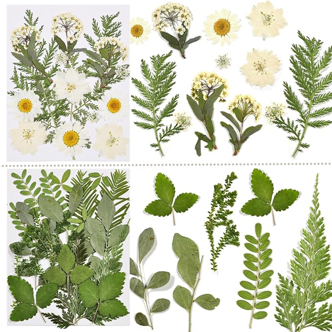CONVELIFE Dried Flowers for Resin, 68pcs Bulk Real Natural Pressed Flowers for DIY Art Crafts, Epoxy Jewelry, Candle, Soap Making, Nails Decor, Phone Case