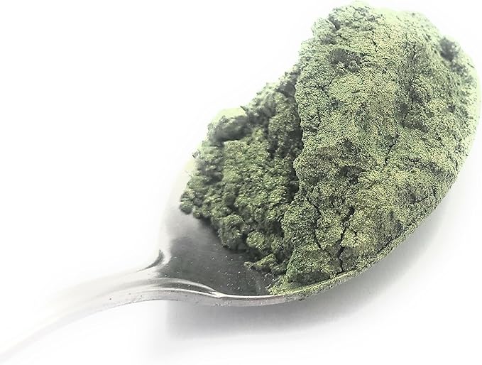 Pearl Mica Powder Pigment Dye - 500 grams (1.1 lbs) - Best Bulk Price for Fine Arts, Crafting, Painting, Bath bomb Soap Candle Slime Jewelry Making, Epoxy Resin, Woodworking (Green AG05)