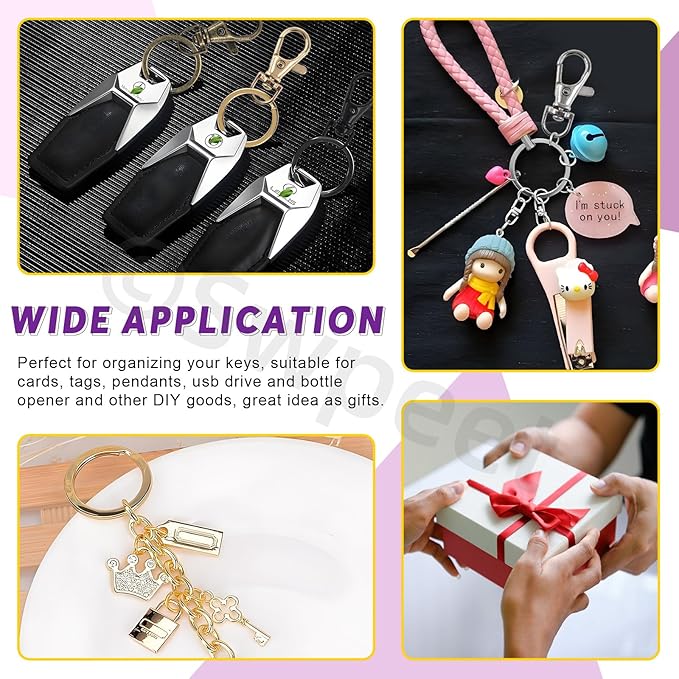 Swpeet 321Pcs Assorted Keychain Making Set with Pliers, 40Pcs Swivel Lanyard Snap Hook, 1Pc Split Ring Pliers, 40Pcs Keychain Ring, 40Pcs Extender Chains, 200Pcs Jump Rings, Bronze/Black/Gold/Silver
