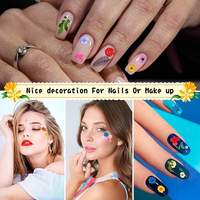 Nuanchu 167 Pcs Real Dried Pressed Flowers Natural Dried Flowers Colorful Daisy Mixed Wildflowers Leave for DIY Candle Resin Nails Jewelry Pendant Crafts Floral Art (Multicolor,Lovely Style)