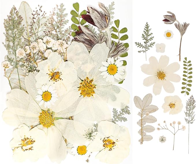50Pcs Dried Pressed Flowers Real Pressed Flowers Natural Dry Leaves Bulk Mixed Colorful Herbs Kit with Tweezers for Scrapbooking DIY Candle Jewelry Crafts Making Nails (White)