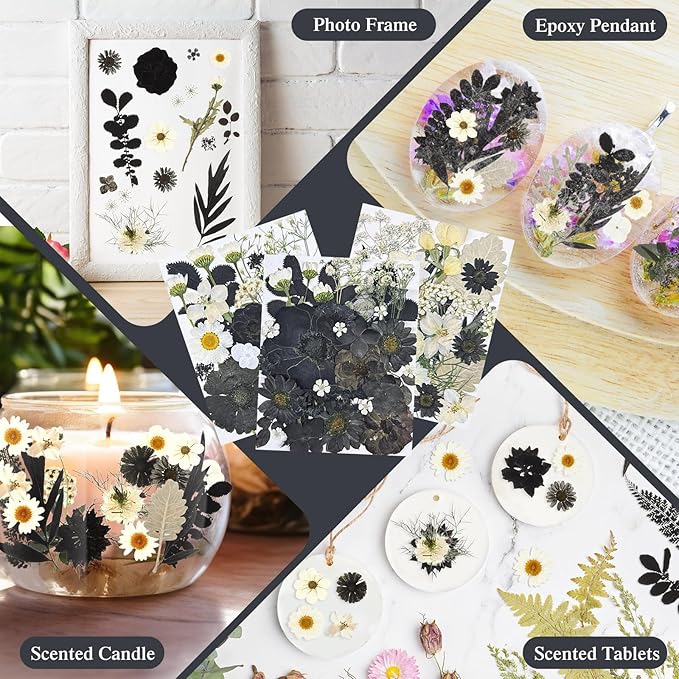 Nuanchu 167 Pcs Real Dried Pressed Flowers Natural Dried Flowers Colorful Daisy Mixed Wildflowers Leave for DIY Candle Resin Nails Jewelry Pendant Crafts Floral Art(Black White,Vintage Style)