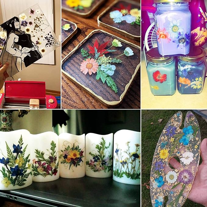 BIHRTC 100PCS Dried Pressed Leaf Flowers Natural Pressed Dry Leaves Sunflowers Chrysanthemum Daisy Flowers for Craft Resin Jewelry Making Soap and Candle Making DIY