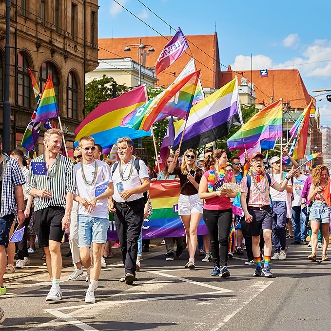 Pride Beads Stuff, LGBTQ Necklace Accessories,100PCS 6 Kinds of LGBTQ Metallic Beads Necklaces Bulk, Gay Lesbian Pride Necklace, Costumes Decor for Pride Month Parade Throws Party Favors