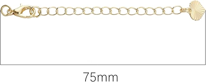 BEADIA 14K Gold Plated Extender Chains 75mm 20pcs Heart Extension Tail Chains for Jewelry Making Findings