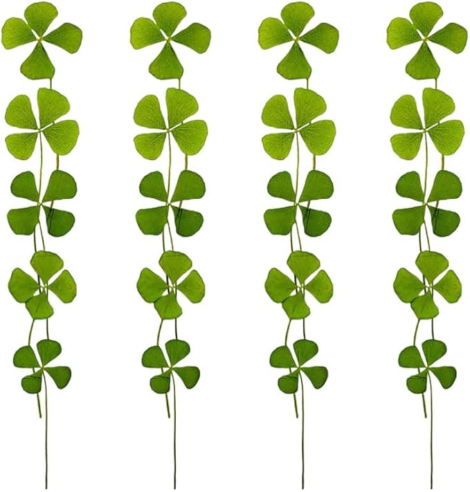 96 Pcs Dried Flowers Dried Jewelry Making Pressed Shamrock 4 Leaf Bookmark Paper Leaves for Crafts Epoxy Art Crafts Flowers Plants Accessories Four Leaf