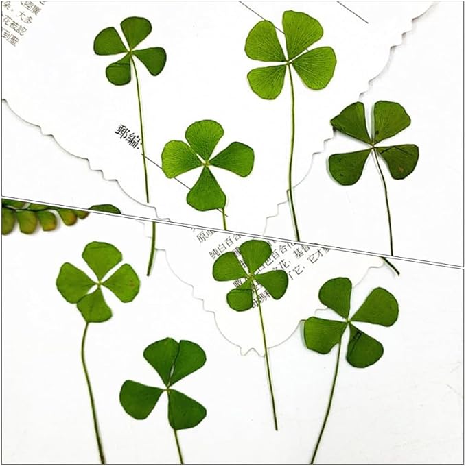 96 Pcs Dried Flowers Dried Jewelry Making Pressed Shamrock 4 Leaf Bookmark Paper Leaves for Crafts Epoxy Art Crafts Flowers Plants Accessories Four Leaf