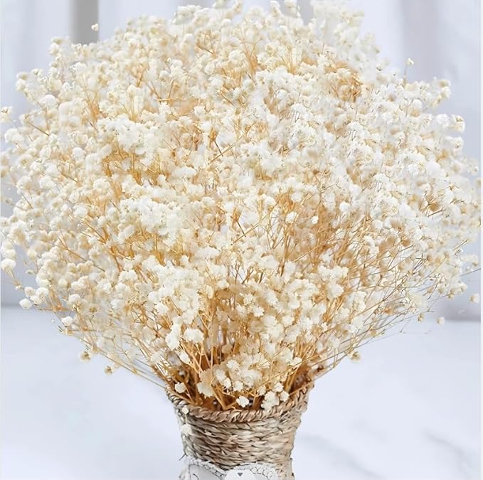 4000+ Dried Babys Breath Flowers Bulk - 17" Ivory White Dried Flower Bouquet, Real Natural Gypsophila Branches for Vase Filler, Wedding, Table Centerpiece, Home Decor, DIY Wreath Floral, Crafts