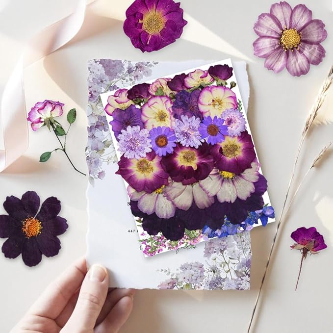 TrendCart Large Purple Dried Pressed Flowers - Real Natural Big Flowers for Resin, Crafts, Nail Art, Candle, Soap, Phone Cases & DIY Jewelry