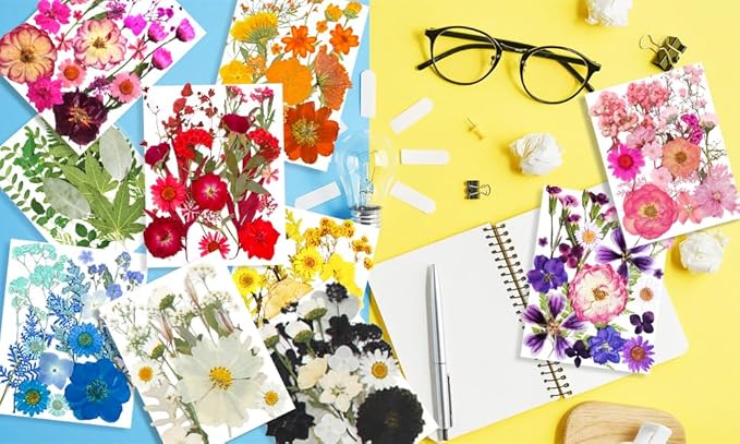 TrendCart 301Pcs Multi-Style Dried Pressed Flowers & Leaves (10 Packs) - Pressed Flower for Crafts, Resin, Nail Art, Candle, Soap, Scrapbooking & Frame Decor