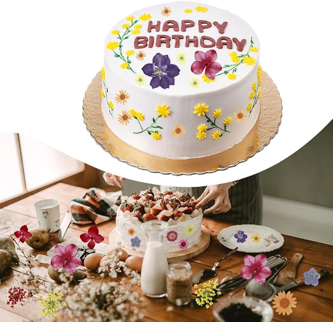 42Pcs Natural Pressed Dried Flowers Resin, Dry Flowers for Resin Accessories with Tweezer, Dried Flower for Scrapbooking DIY Art Crafts, Epoxy Resin Jewelry Molds, Candle, Nails Décor, Craft Making