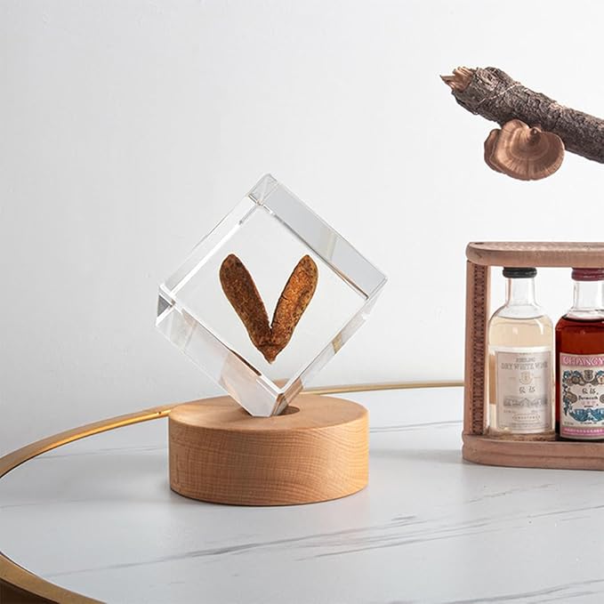 Square Resin Mold - 4 Inch Cube Hexahedron Crystal Display Mold for UV Epoxy Resin Art - Silicone Home Office Decor (1 Piece)