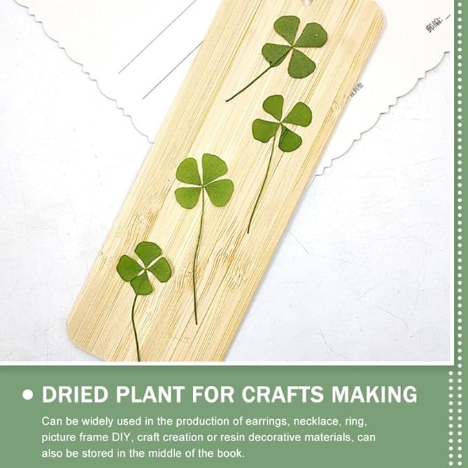 96 Pcs Dried Flowers Dried Jewelry Making Pressed Shamrock 4 Leaf Bookmark Paper Leaves for Crafts Epoxy Art Crafts Flowers Plants Accessories Four Leaf