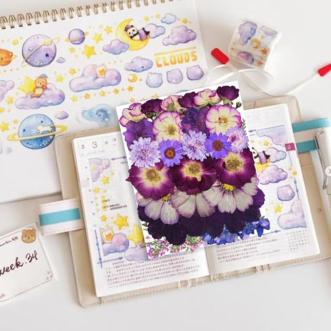 TrendCart Large Purple Dried Pressed Flowers - Real Natural Big Flowers for Resin, Crafts, Nail Art, Candle, Soap, Phone Cases & DIY Jewelry