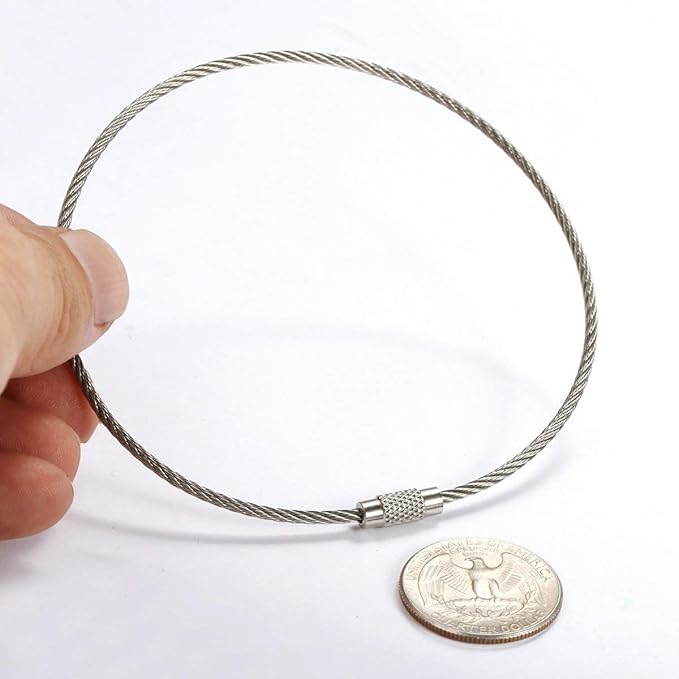 bayite Pack (100) Stainless Steel Wire Keychains Cable, Key Rings, Heavy Duty Luggage Tags Loops Tag Keepers 2mm Twist Barrel (Cable Length: 10 inches)