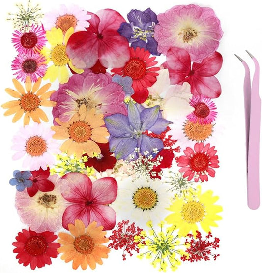 42Pcs Natural Pressed Dried Flowers Resin, Dry Flowers for Resin Accessories with Tweezer, Dried Flower for Scrapbooking DIY Art Crafts, Epoxy Resin Jewelry Molds, Candle, Nails Décor, Craft Making