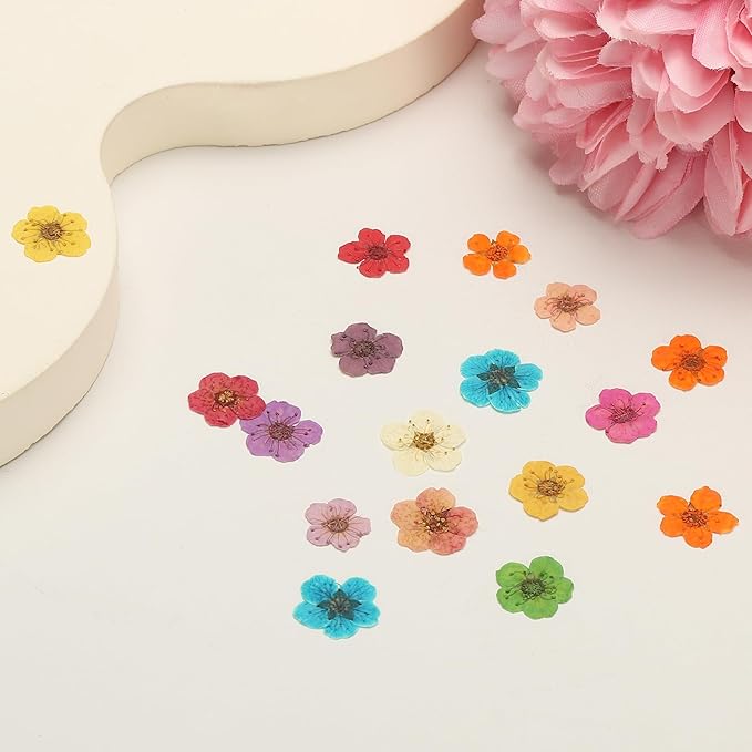 uxcell 100Pcs Dried Pressed Flowers, 0.24-0.31" Colorful Dried Pressed Narcissus Flowers Bulk for Nail Art Resin Jewelry Candle Card Making Scrapbook Phone Case Decoration, White