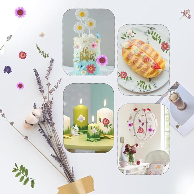 100Pcs Natural Pressed Dried Flowers Resin, Dry Flowers for Resin Accessories, Dried Flower for Scrapbooking DIY Art Crafts, Epoxy Resin Jewelry Molds, Candle, Nails Décor, Craft Making