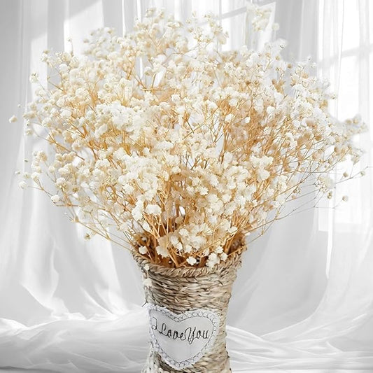 2500+ Dried Babys Breath Flowers Bulk - 17" Ivory White Dried Flower Bouquet, Real Natural Gypsophila Branches for Vase Filler, Wedding, Table Centerpiece, Home Decor, DIY Wreath Floral, Crafts