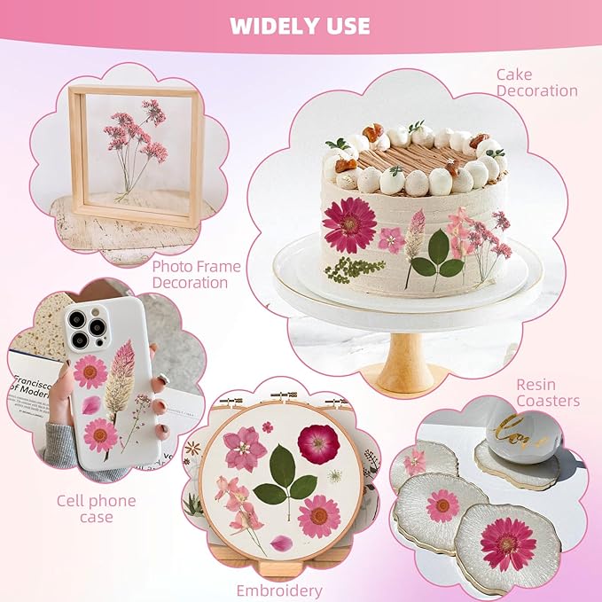 12“ Large Bulk Dried Pressed Flowers for Glass Frame, Real Dry Natural Flower Leaf for Resin Mold, Cake Decor, Holiday Decorations, Phone Cases, Invitations (Pink Fairy)