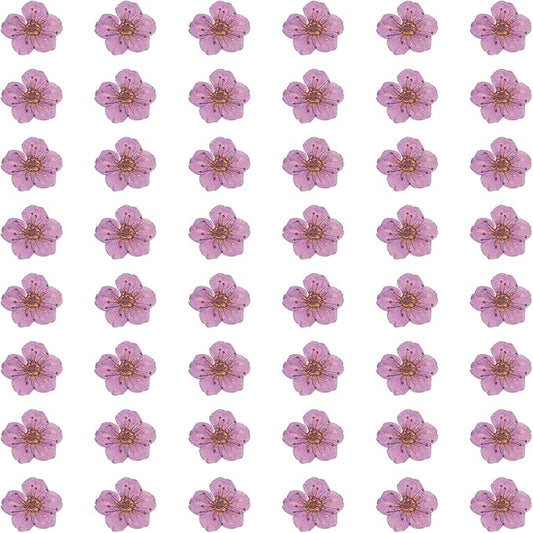 uxcell 100Pcs Dried Pressed Flowers, 0.24-0.31" Colorful Dried Pressed Narcissus Flowers Bulk for Nail Art Resin Jewelry Candle Card Making Scrapbook Phone Case Decoration, Purple