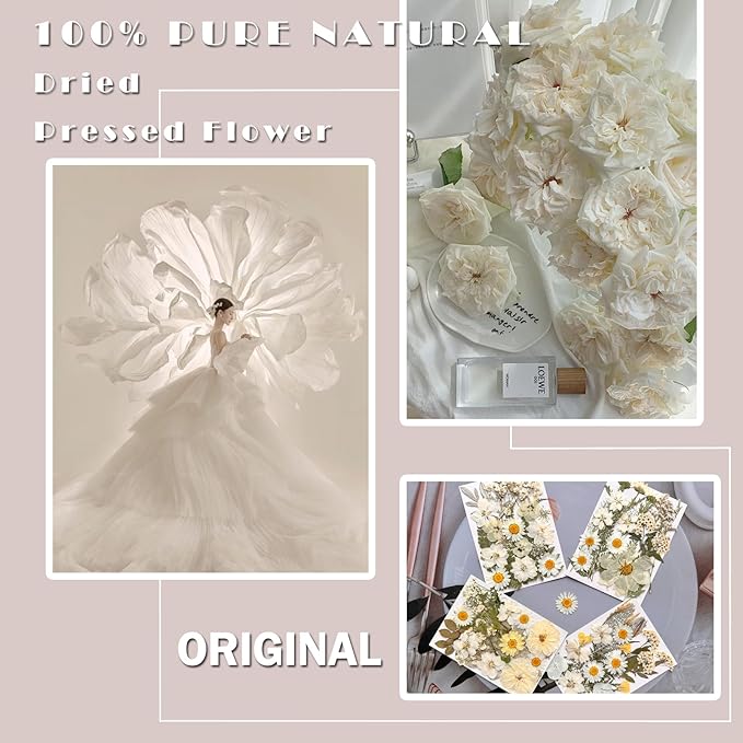 MIKIYA 90Pcs White Dried Pressed Flowers for Resin Molds, Real Natural Bulk Dry Floral Leaves for DIY Art Crafts, Epoxy Jewelry, Candle, Soap Making, Nails Decors Gifts