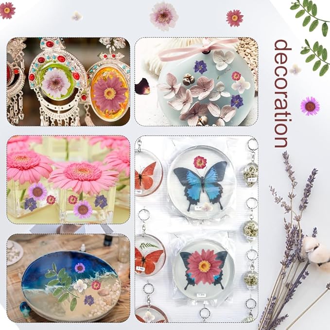 100Pcs Natural Pressed Dried Flowers Resin, Dry Flowers for Resin Accessories, Dried Flower for Scrapbooking DIY Art Crafts, Epoxy Resin Jewelry Molds, Candle, Nails Décor, Craft Making