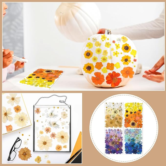 Nuanchu 200 Pcs Pressed Flowers Bulk Dried Flower for Craft Resin Mold Bookmark Scrapbooking Nail Cake White Orange Natural Pressed Dried Floral with Tweezer DIY Gift(Bright Color,Natural Style)