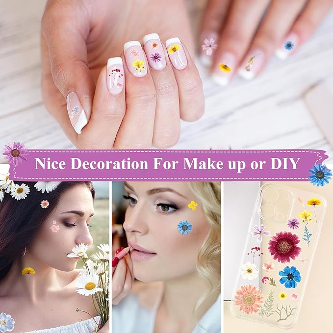 Nuanchu 167 Pcs Real Dried Pressed Flowers Natural Dried Flowers Colorful Daisy Mixed Wildflowers Leave for DIY Candle Resin Nails Jewelry Pendant Crafts Floral Art(Rainbow,Classic Style)