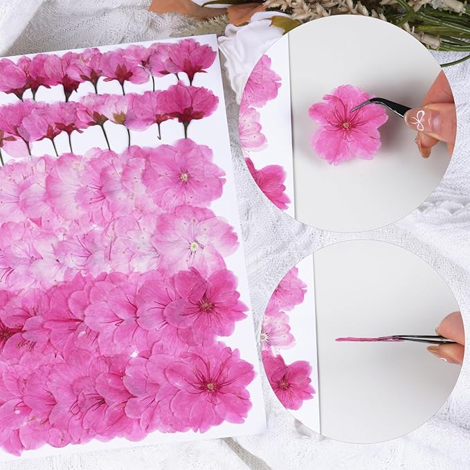 60Pcs Cherry Blossom Dried Pressed Flowers for Crafts,Xinxinran Edible Flowers for Cake Decorating,Resin Molds,Bookmark,Jewelry Molds,Candle Making Supplies,Soap,Frame(Pink)