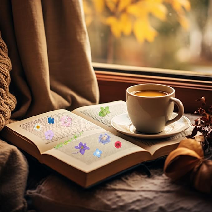 Dried Pressed Flowers Real Pressed Flowers Natural Dry Leaves Bulk Mixed Colorful Herbs Kit with Tweezers for Scrapbooking DIY Candle Jewelry Crafts Making Nails (Strong Color)