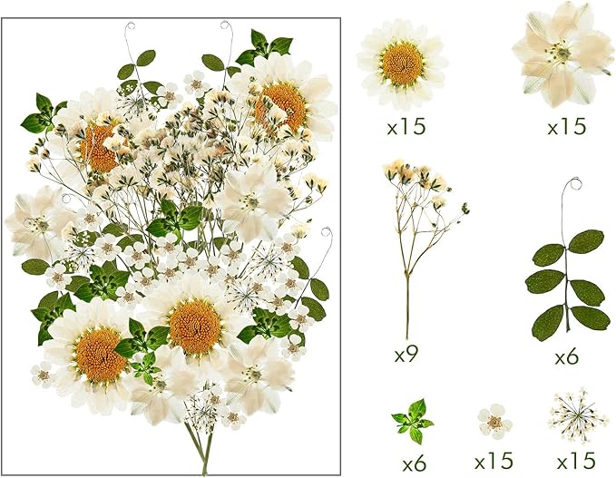 Nuanchu 81 Pieces Pressed Flowers Bulk White Dried Flowers for Resin Mold, Dried Leave Natural with Tweezer for Crafts Spring DIY Gift Scrapbooking