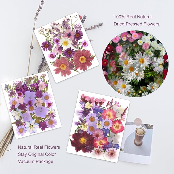 100Pcs Natural Pressed Dried Flowers Resin, Dry Flowers for Resin Accessories, Dried Flower for Scrapbooking DIY Art Crafts, Epoxy Resin Jewelry Molds, Candle, Nails Décor, Craft Making