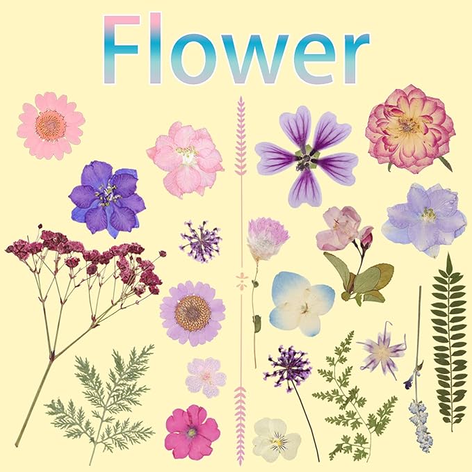 50Pcs Dried Pressed Flowers Resin Mould Real Pressed Flowers Natural Dry Leaves Bulk Mixed Colorful Daisy Herbs Kit with Tweezers for Scrapbooking DIY Candle Jewelry Crafts Making Nails(Purple)