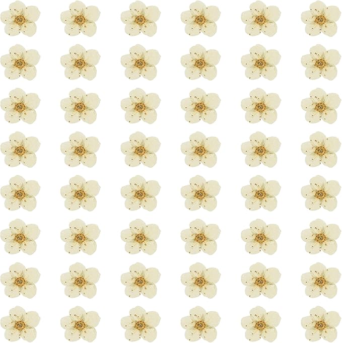 uxcell 100Pcs Dried Pressed Flowers, 0.24-0.31" Colorful Dried Pressed Narcissus Flowers Bulk for Nail Art Resin Jewelry Candle Card Making Scrapbook Phone Case Decoration, White