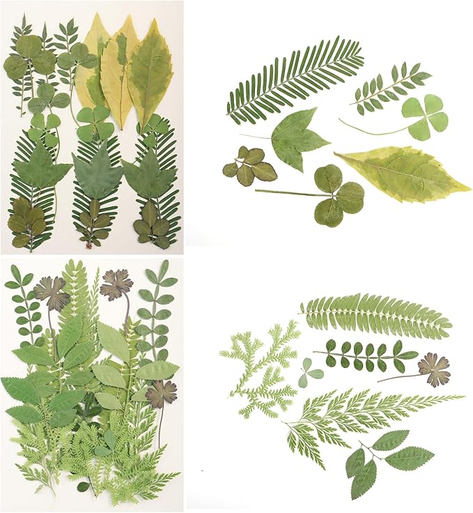 120Pcs Dried Pressed Leaves Flowers Real Flowers Natural Dry Leaves Bulk Mixed Colorful Herbs Kit with Tweezers for Scrapbooking DIY Candle Jewelry Crafts Making Nails Decorate(Green)