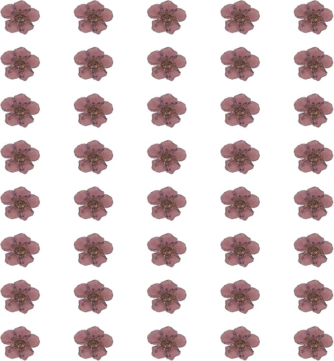 uxcell 40Pcs Dried Pressed Flowers, 0.24-0.31" Colorful Dried Pressed Narcissus Flowers Bulk for Nail Art Resin Jewelry Candle Card Making Scrapbook Phone Case Decoration, Grape Purple