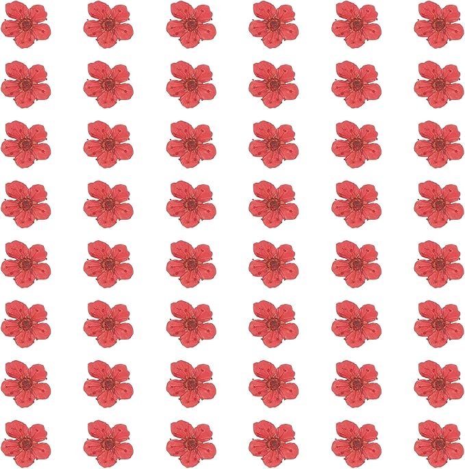 uxcell 100Pcs Dried Pressed Flowers, 0.24-0.31" Colorful Dried Pressed Narcissus Flowers Bulk for Nail Art Resin Jewelry Candle Card Making Scrapbook Phone Case Decoration, Crimson