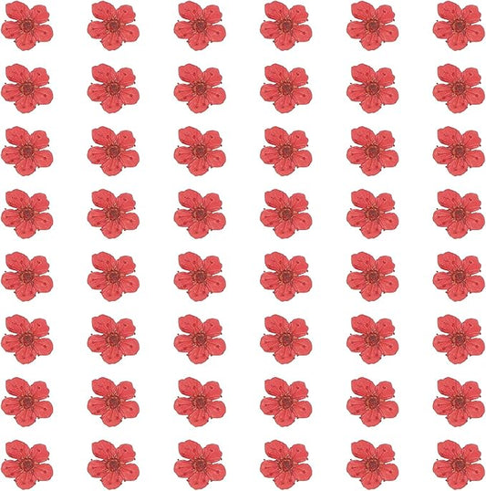 uxcell 100Pcs Dried Pressed Flowers, 0.24-0.31" Colorful Dried Pressed Narcissus Flowers Bulk for Nail Art Resin Jewelry Candle Card Making Scrapbook Phone Case Decoration, Crimson