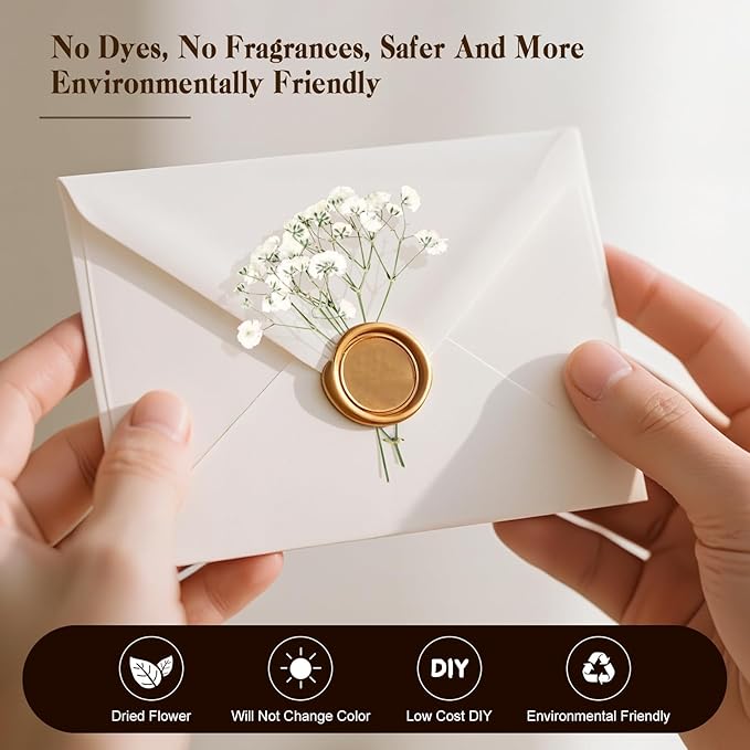 50 Pcs Baby's Breath Real Natural Dried Pressed Flowers for Wedding DIY Crafts Home Decor Resin Art Card Making Vase Arrangements (White)