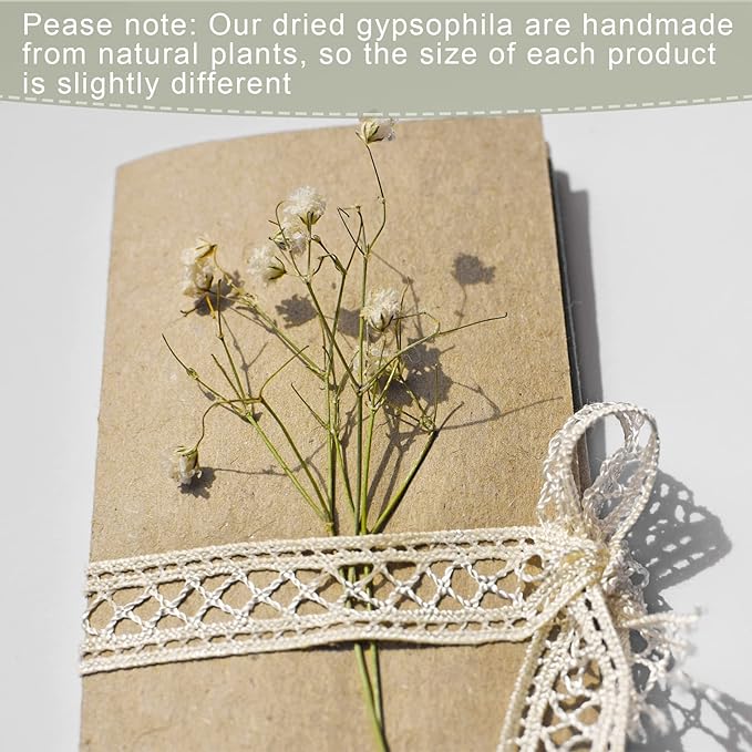 Fumete 50 Pcs Mini Dried Baby Breath Flowers Wedding Ivory Natural Flowers Bulk Dried Gypsophila for Vase Bride Shower Invitation Card DIY Candle Making Decor Craft Party Resin Art, 2-4 in